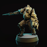 Tyr'Shava Ultra Warriors (2 Models)