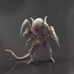 Xenonid Battle Box (14 models)