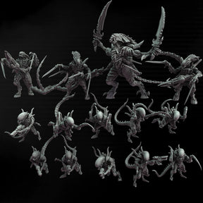 Xenonid Battle Box (14 models)