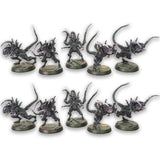 Xenonid Raptor Swarm (10 Models)